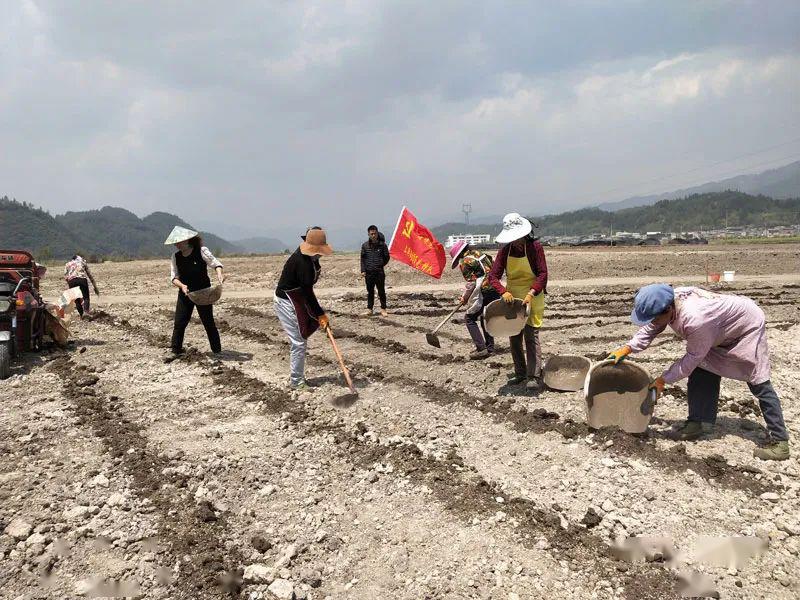 沈姝最新动态，绽放的光芒照亮新时代的舞台