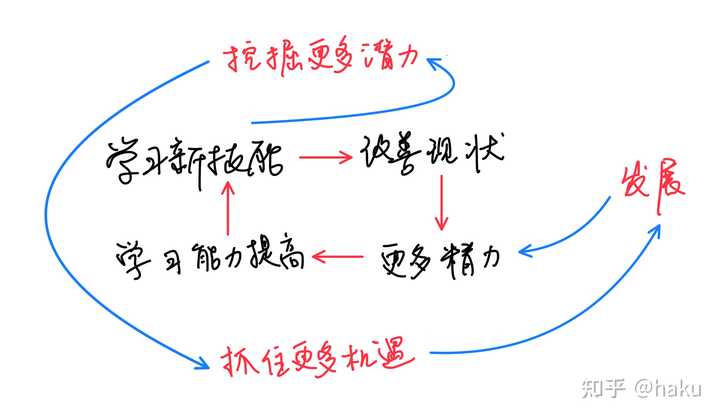 最新小卷，重塑学习体验的魅力与重要性